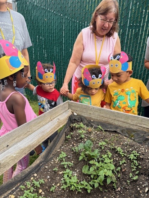 Brookville students and teachers learn about plants outside.
