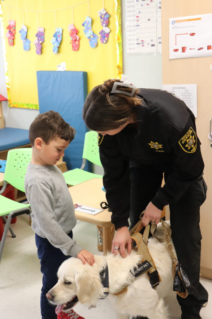 A Barbara C. Wilson Preschool student pets Luna the therapy dog.