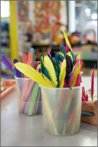 Enrollment & Tuition
