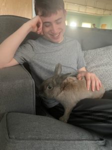 a boy with a bunny