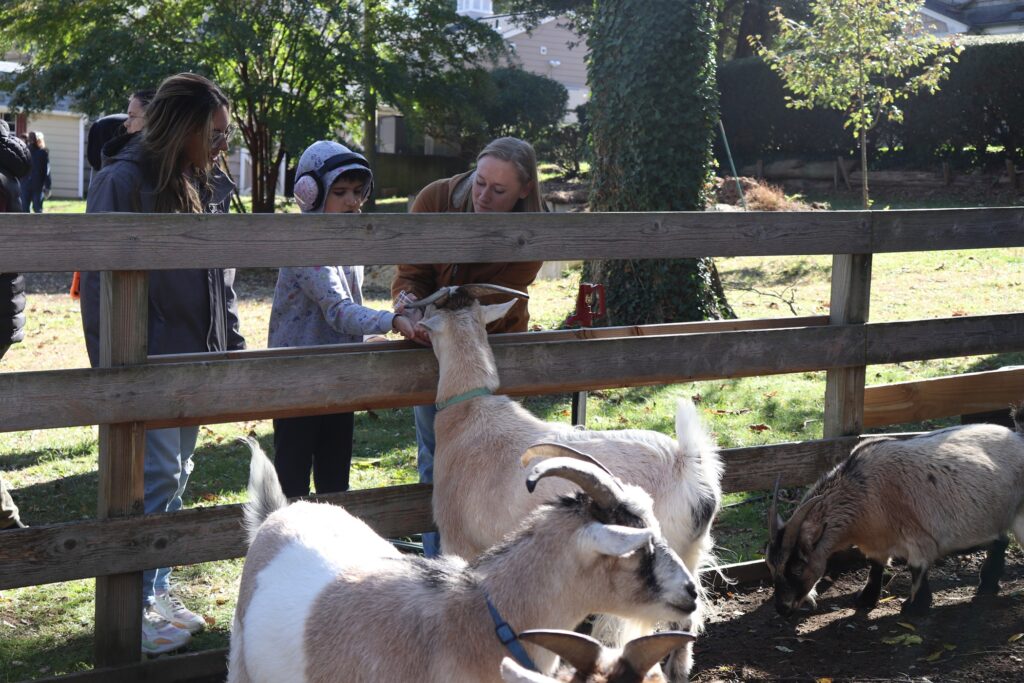 Two Children's Education Center staff members help a student feed a goat at the Fall Festival.